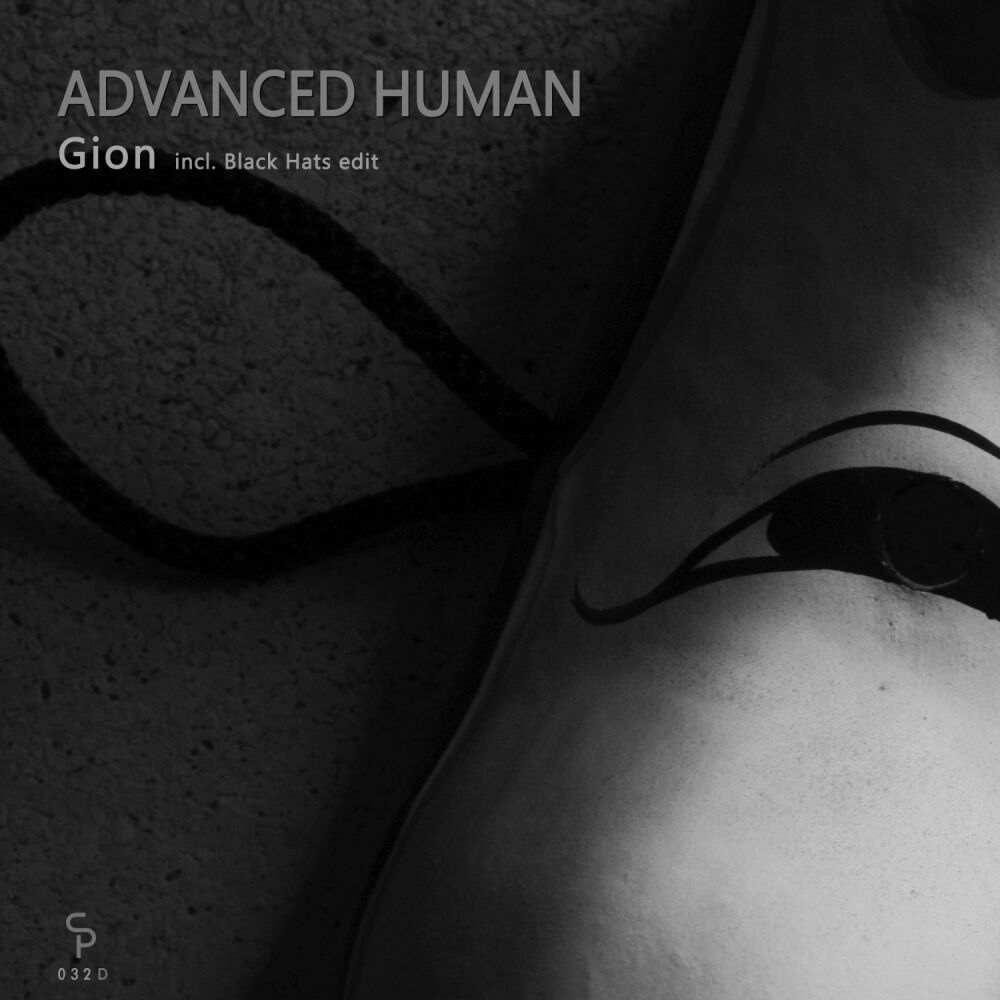 Picture of Gion