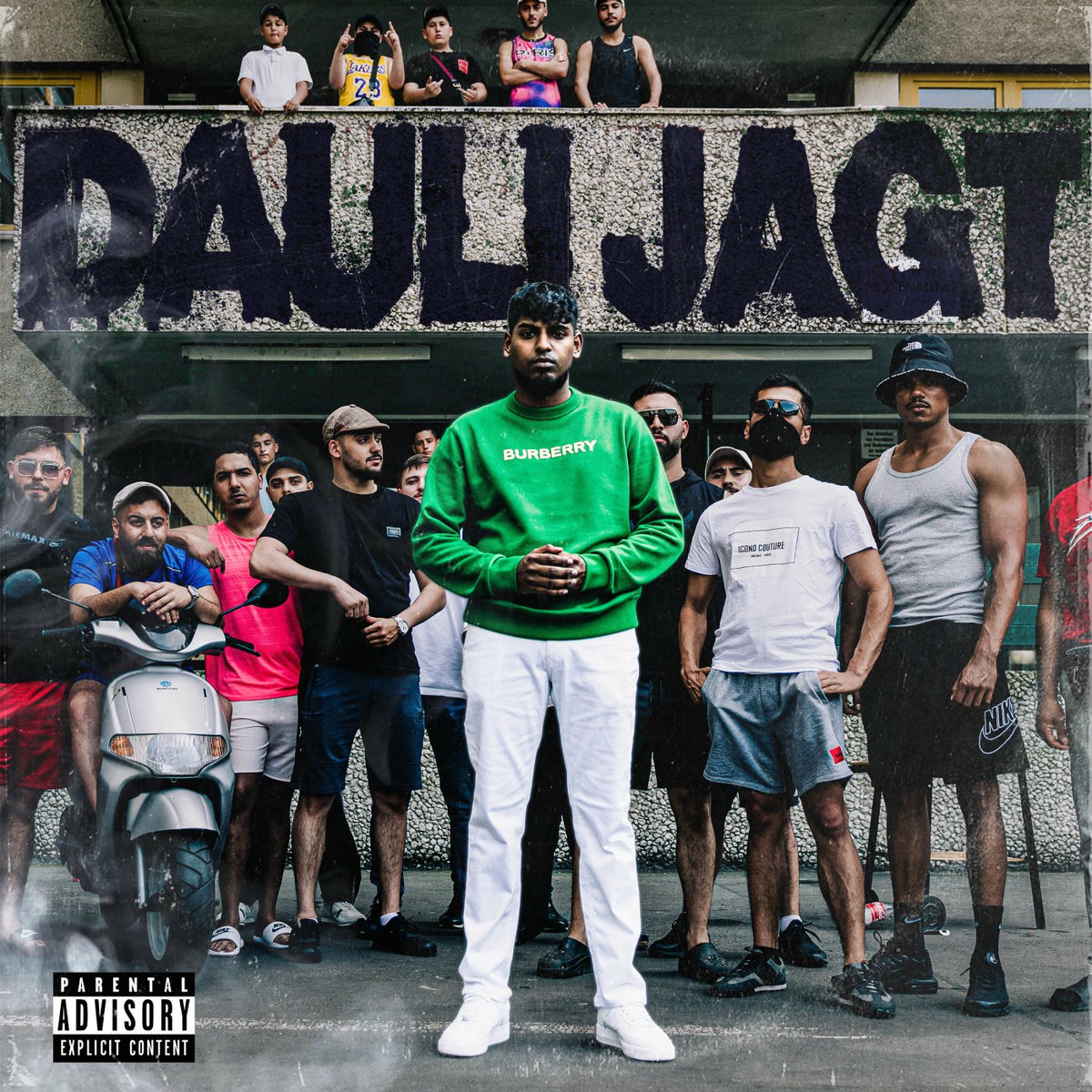 Album cover of Dauli jagt