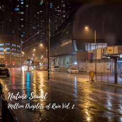 Cover of Nature Sound: Million Droplets of Rain Vol. 2