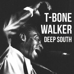Cover of Deep South