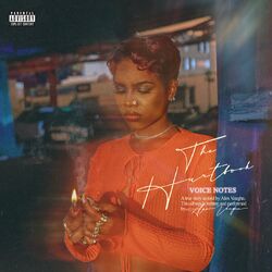 Cover of The Hurtbook (Voice Notes)