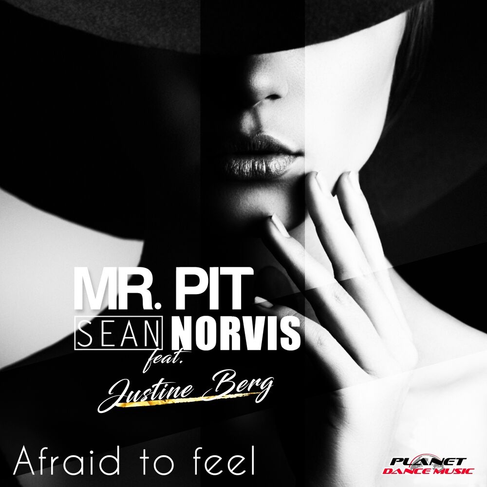 Picture of Afraid To Feel