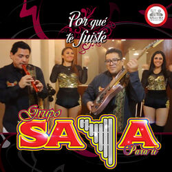 Cover of Por Qué Te Fuiste