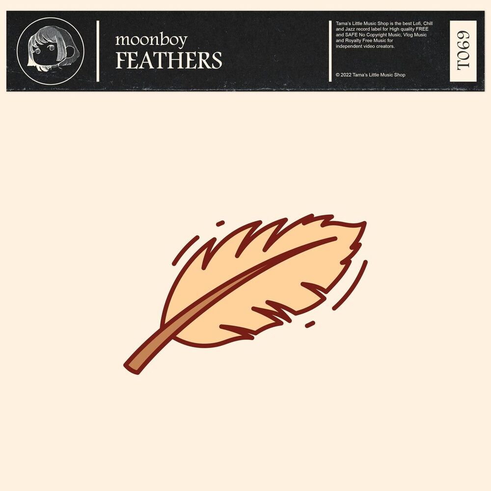 Picture of feathers
