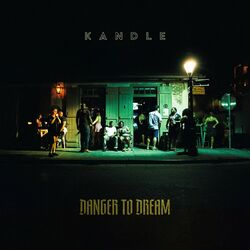 Cover of Danger To Dream