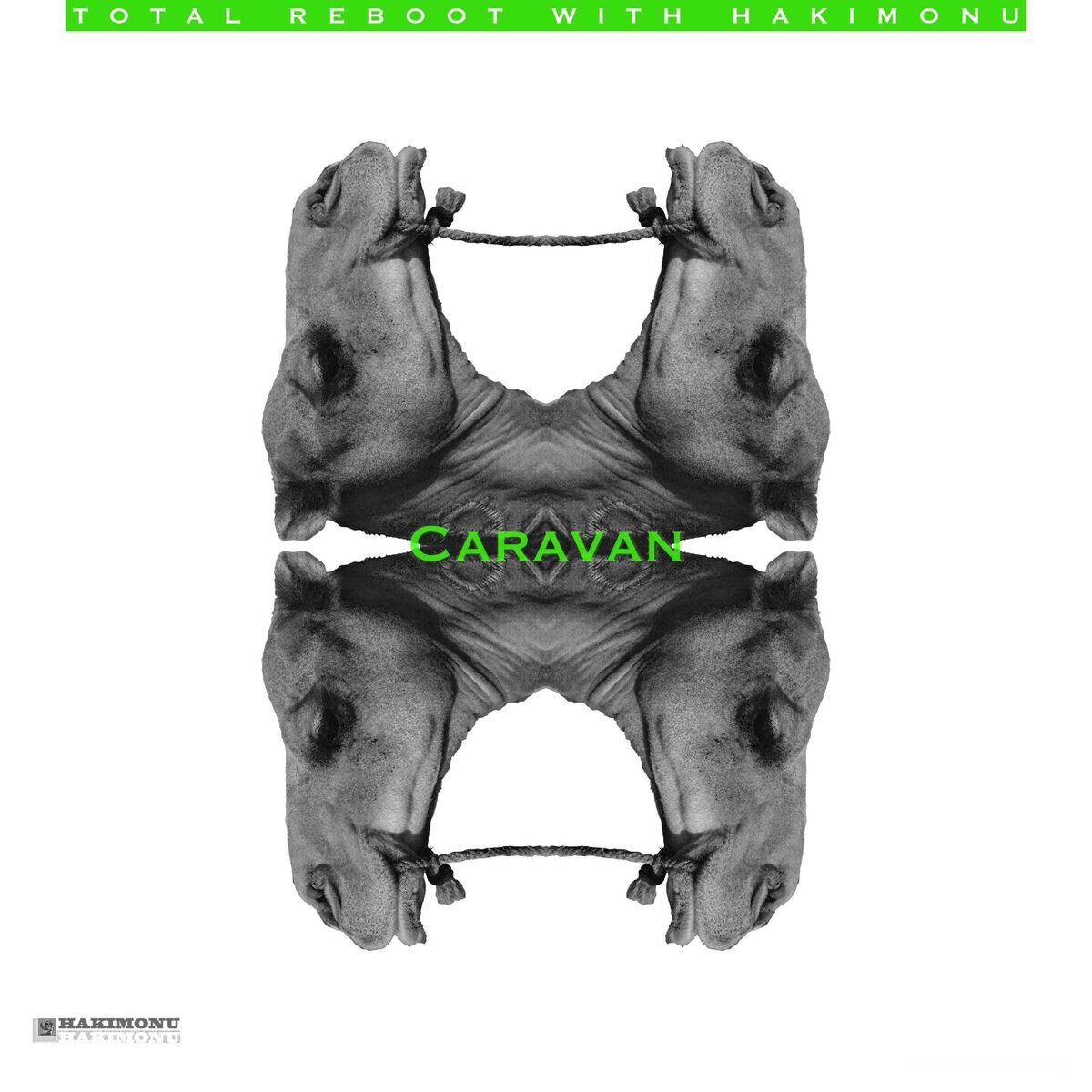 Album cover of Caravan