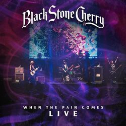 Cover of When The Pain Comes (Live)
