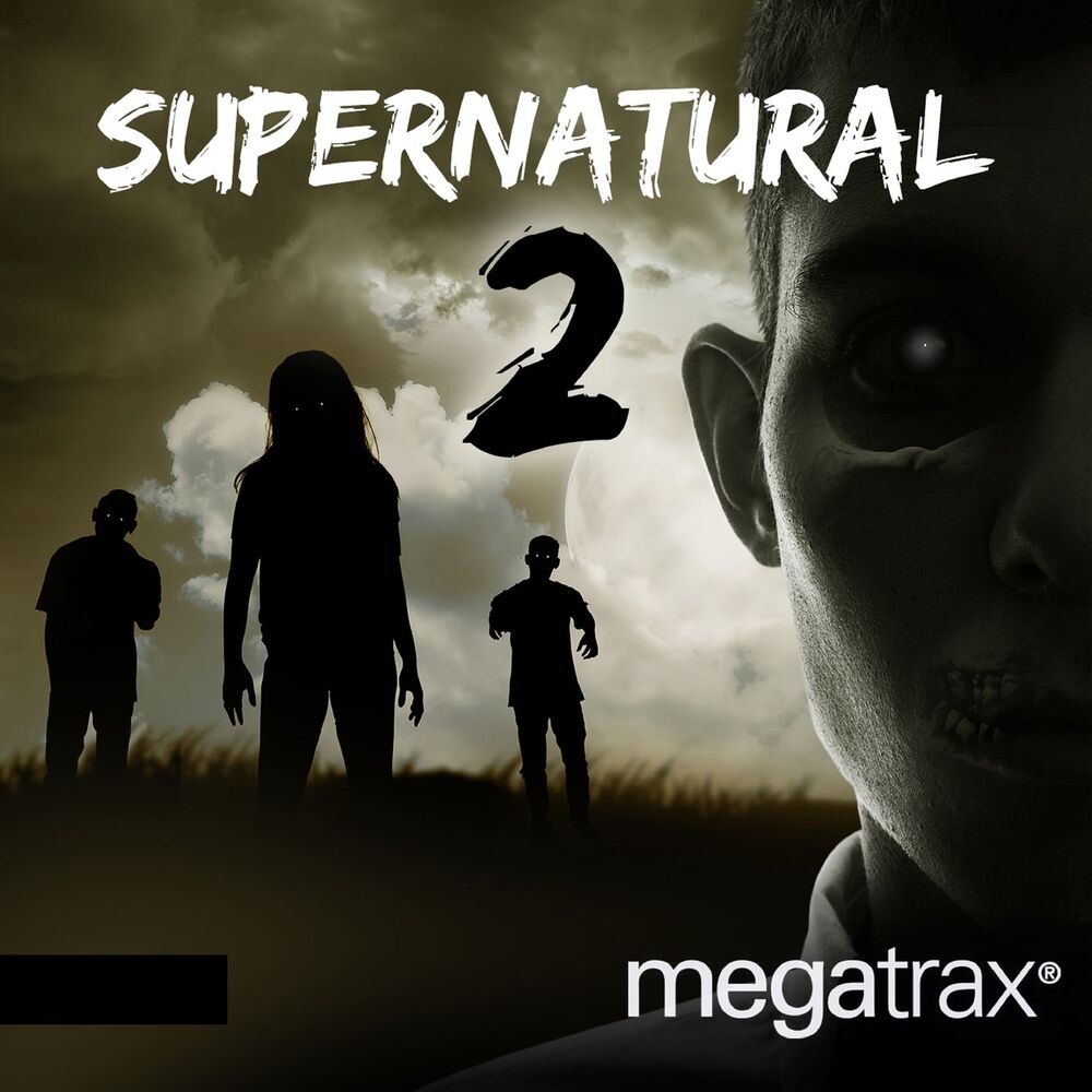 Picture of Supernatural, Vol. 2