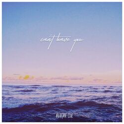 Cover of Can't Have You