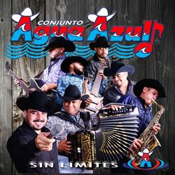 Cover of Sin Limites
