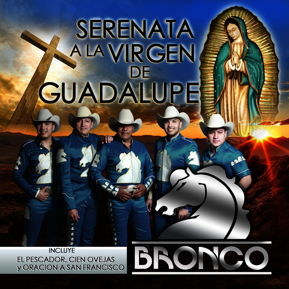Picture of Serenata a la Virgen de Guadalupe