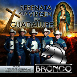 Cover of Serenata a la Virgen de Guadalupe