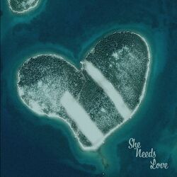Cover of She Needs Love