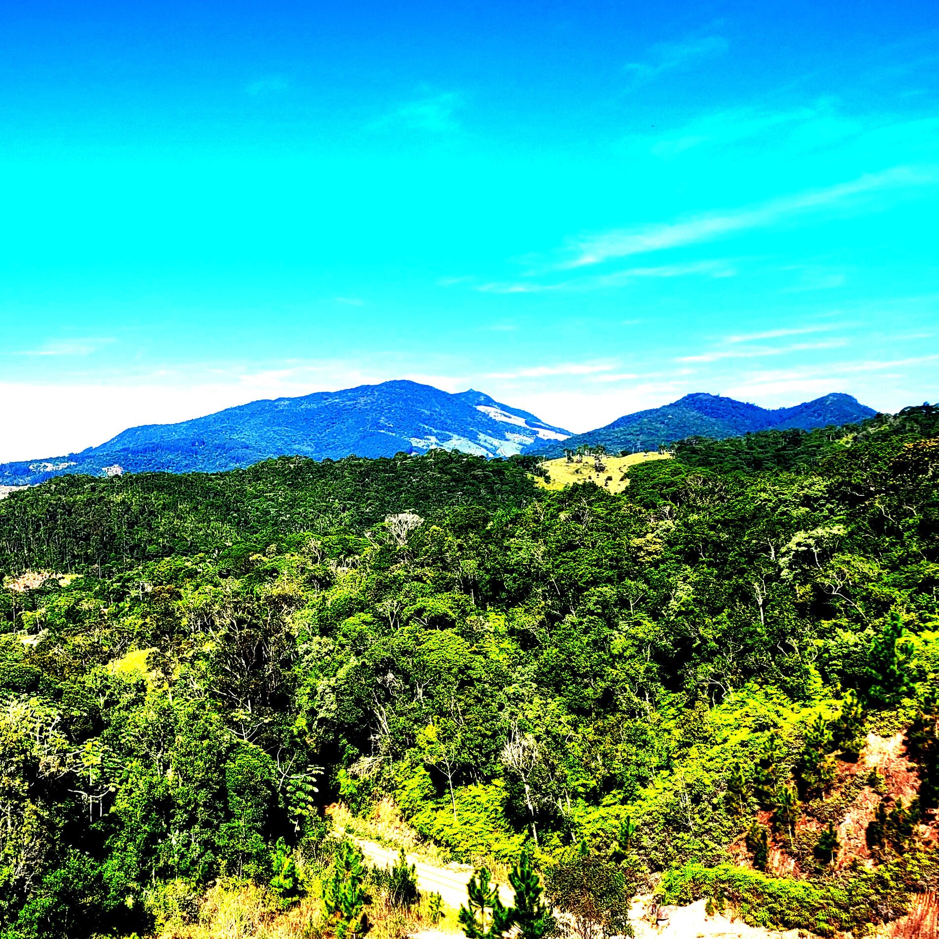 Album cover of Ei Você