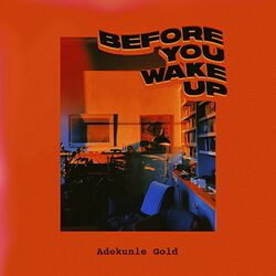 Cover of Before You Wake Up