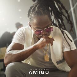 Cover of Amigo