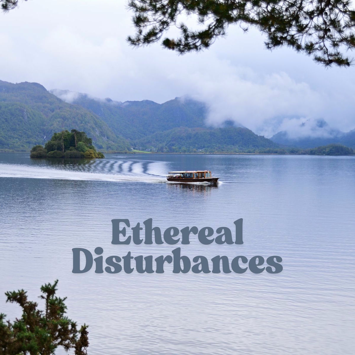 Album cover of Ethereal Disturbances