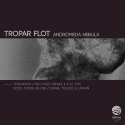 Cover of Andromeda Nebula