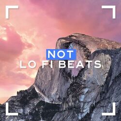 Not Lo Fi Beats