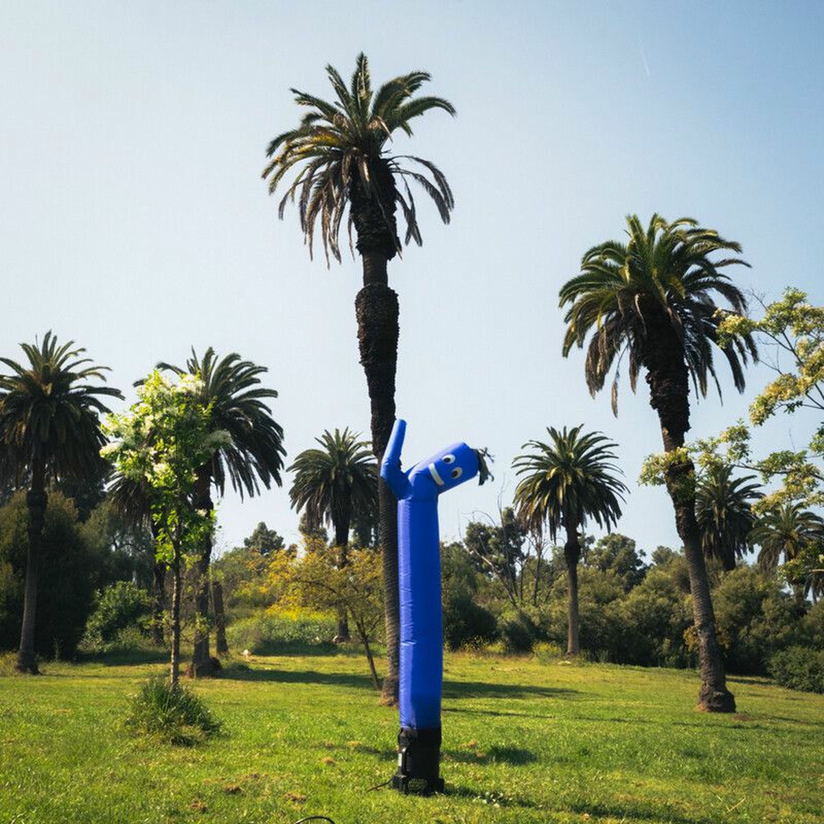 Album cover of tell you straight (Ely Oaks’ version)