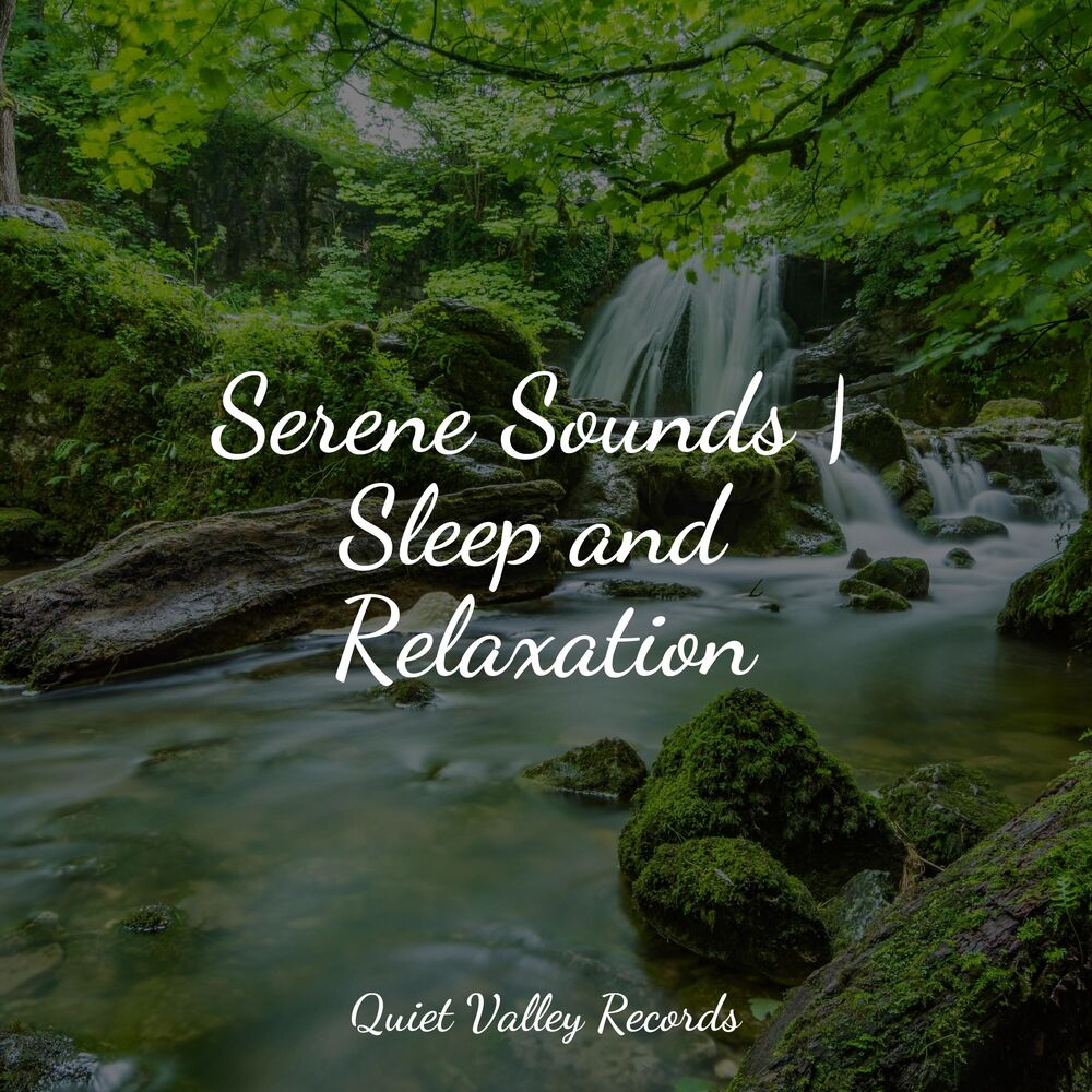 Picture of Serene Sounds | Sleep and Relaxation