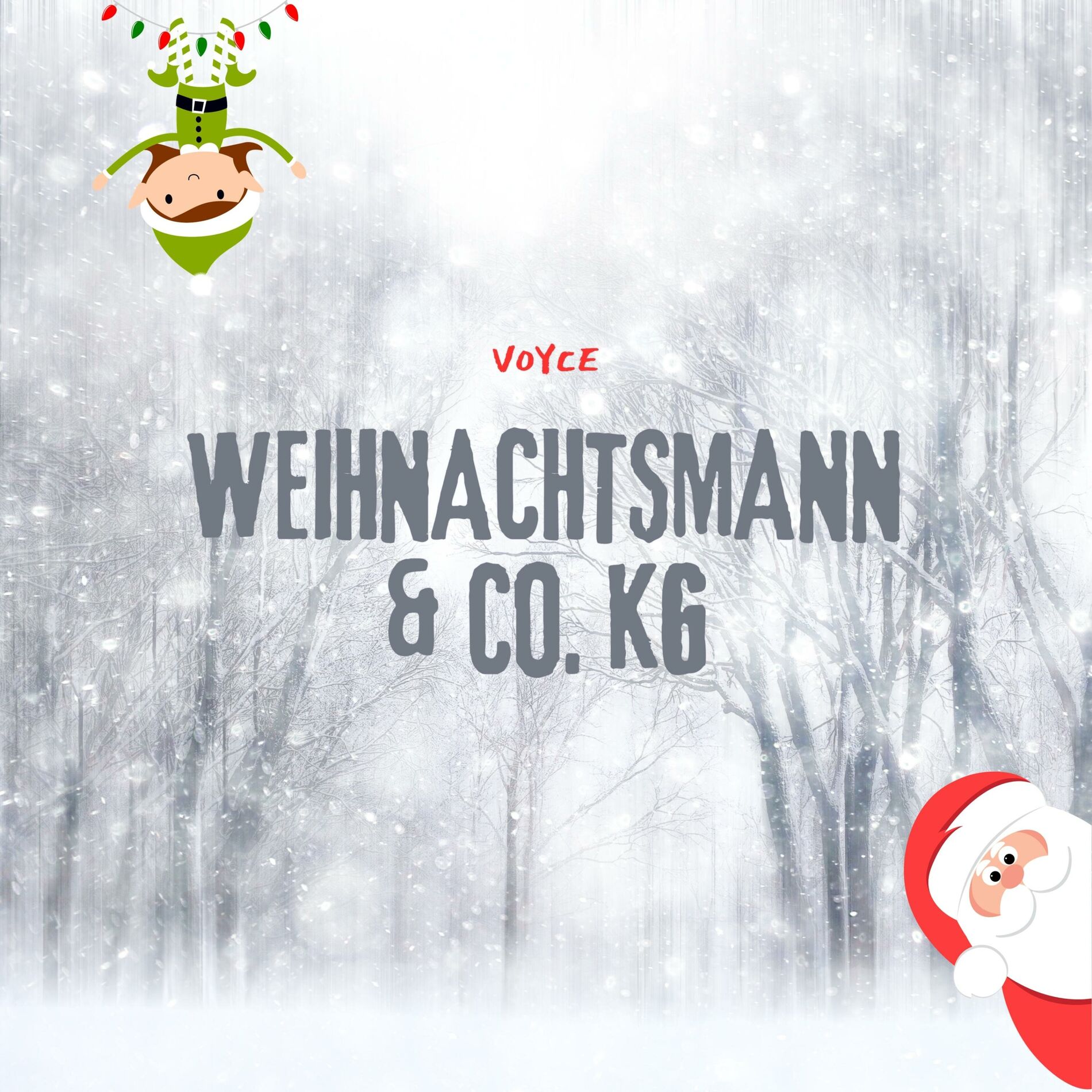 Album cover of Weihnachtsmann & Co. KG