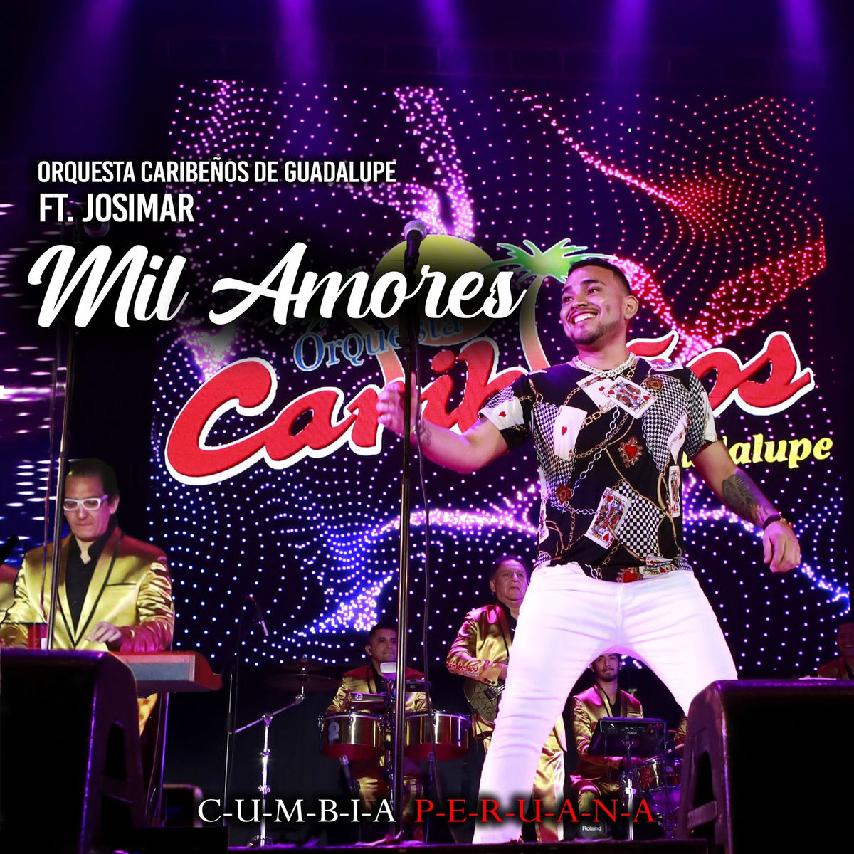 Album cover of Mil Amores
