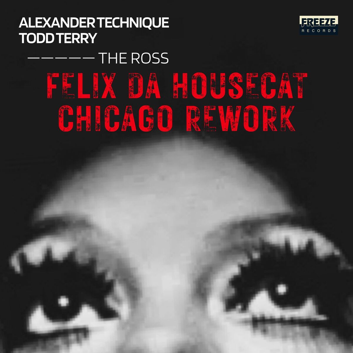 Album cover of The Ross (Felix Da Housecat Chicago Rework)