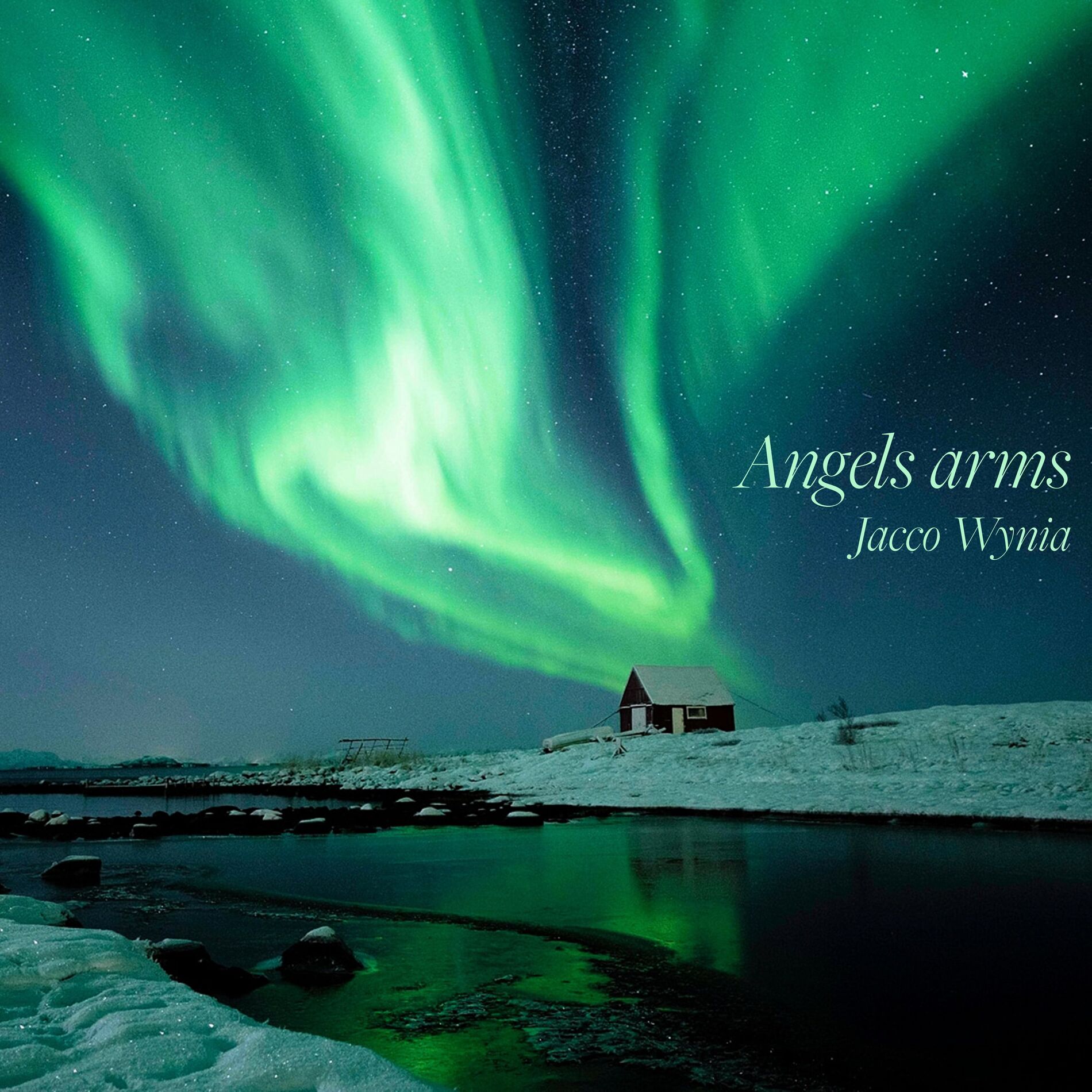 Album cover of Angels arms