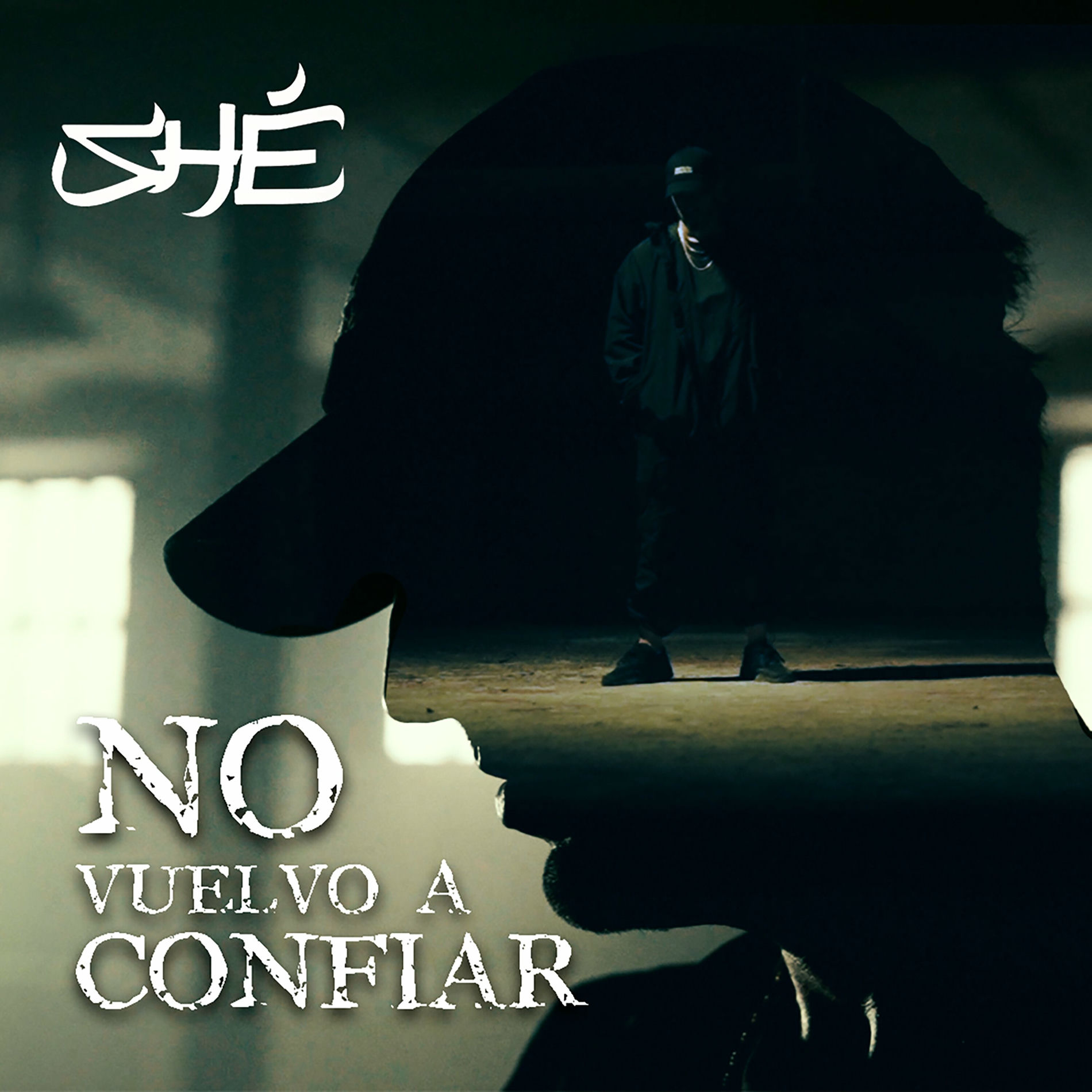 Album picture of No Vuelvo a Confiar