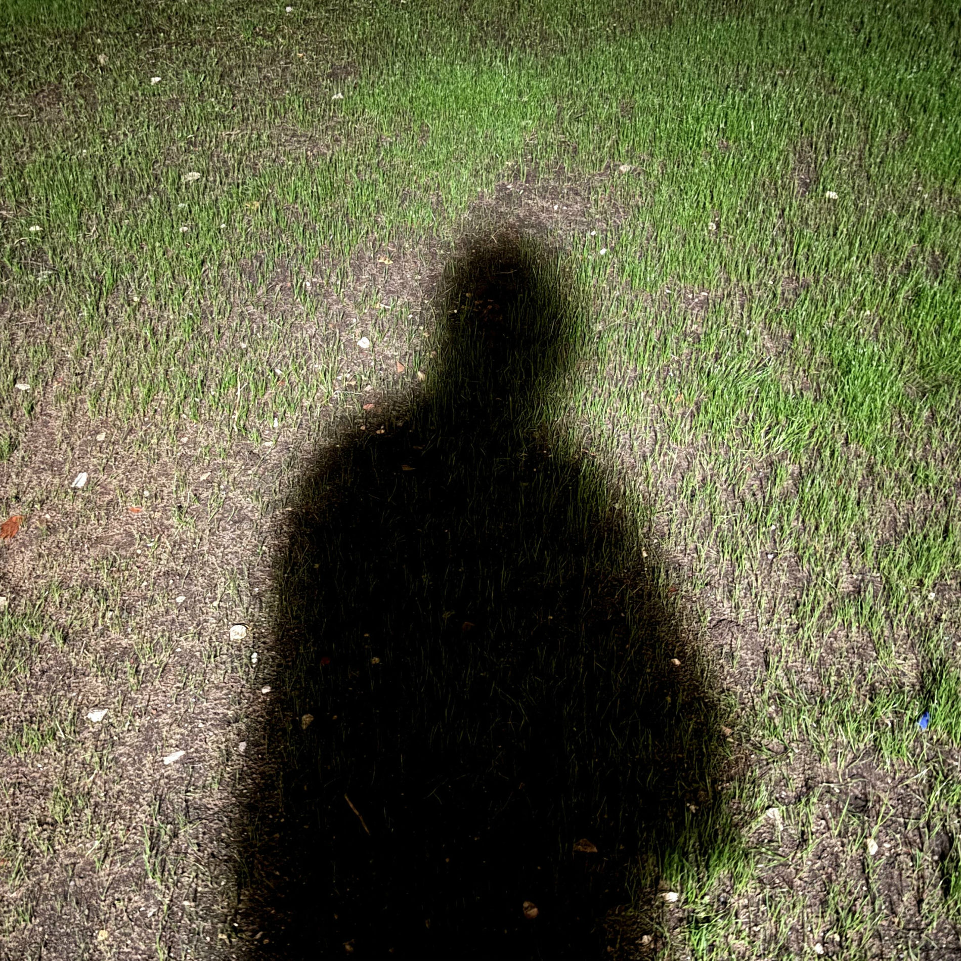 Album cover of Echoes