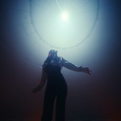 Cover of Halo