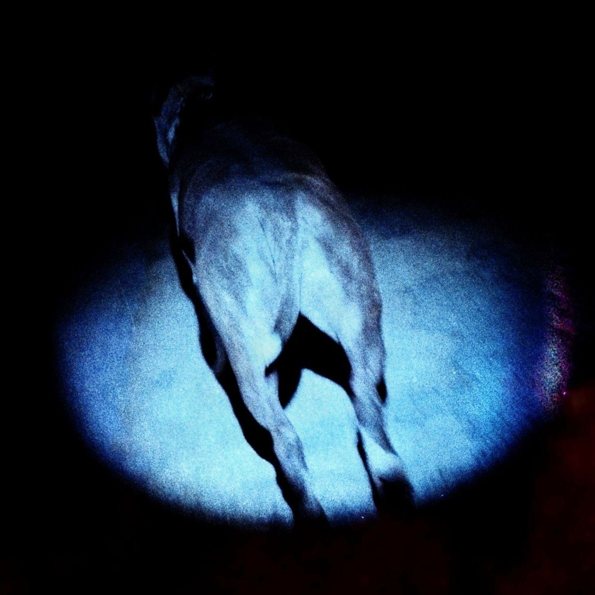 Album cover of SATURÉ