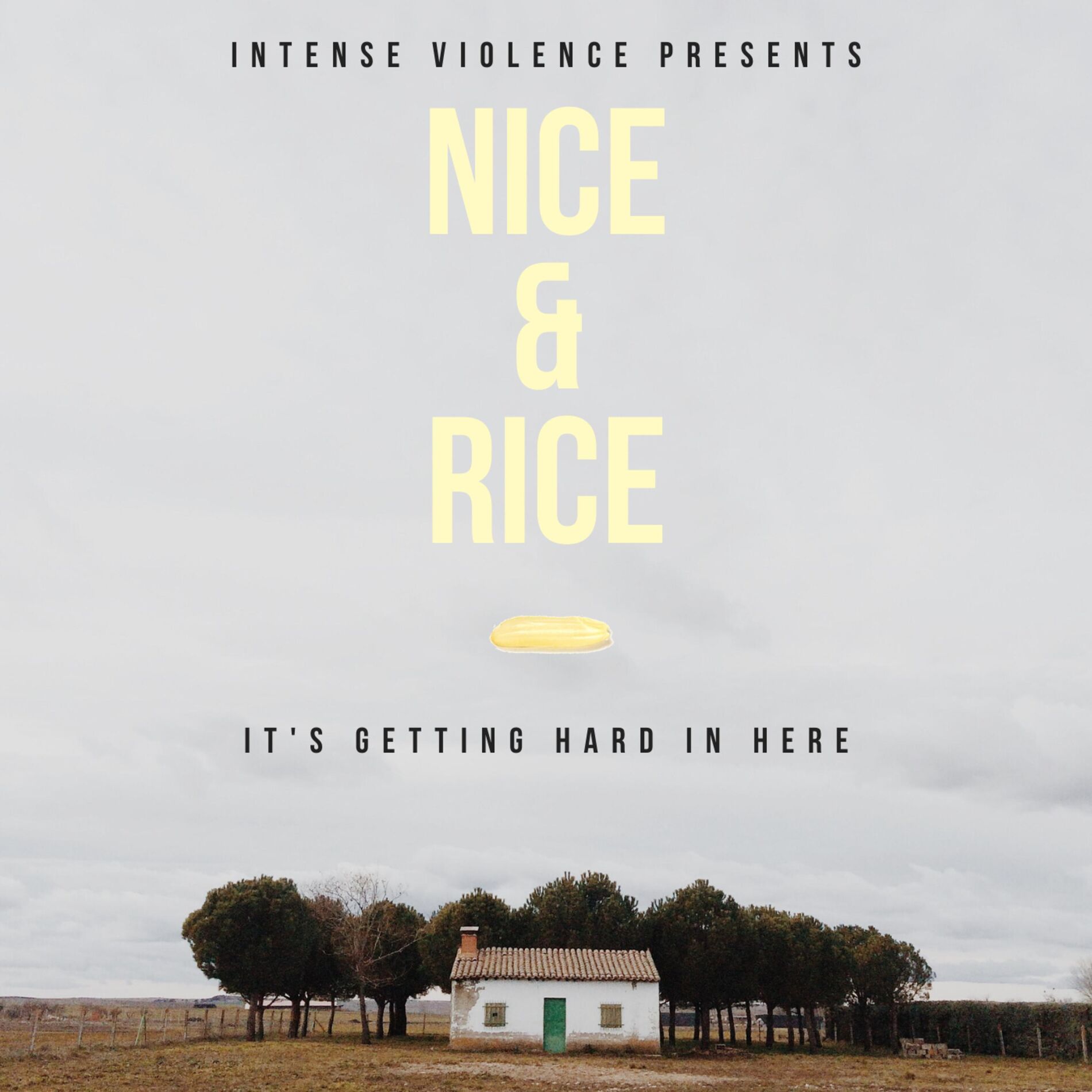 Album cover of Nice & Rice