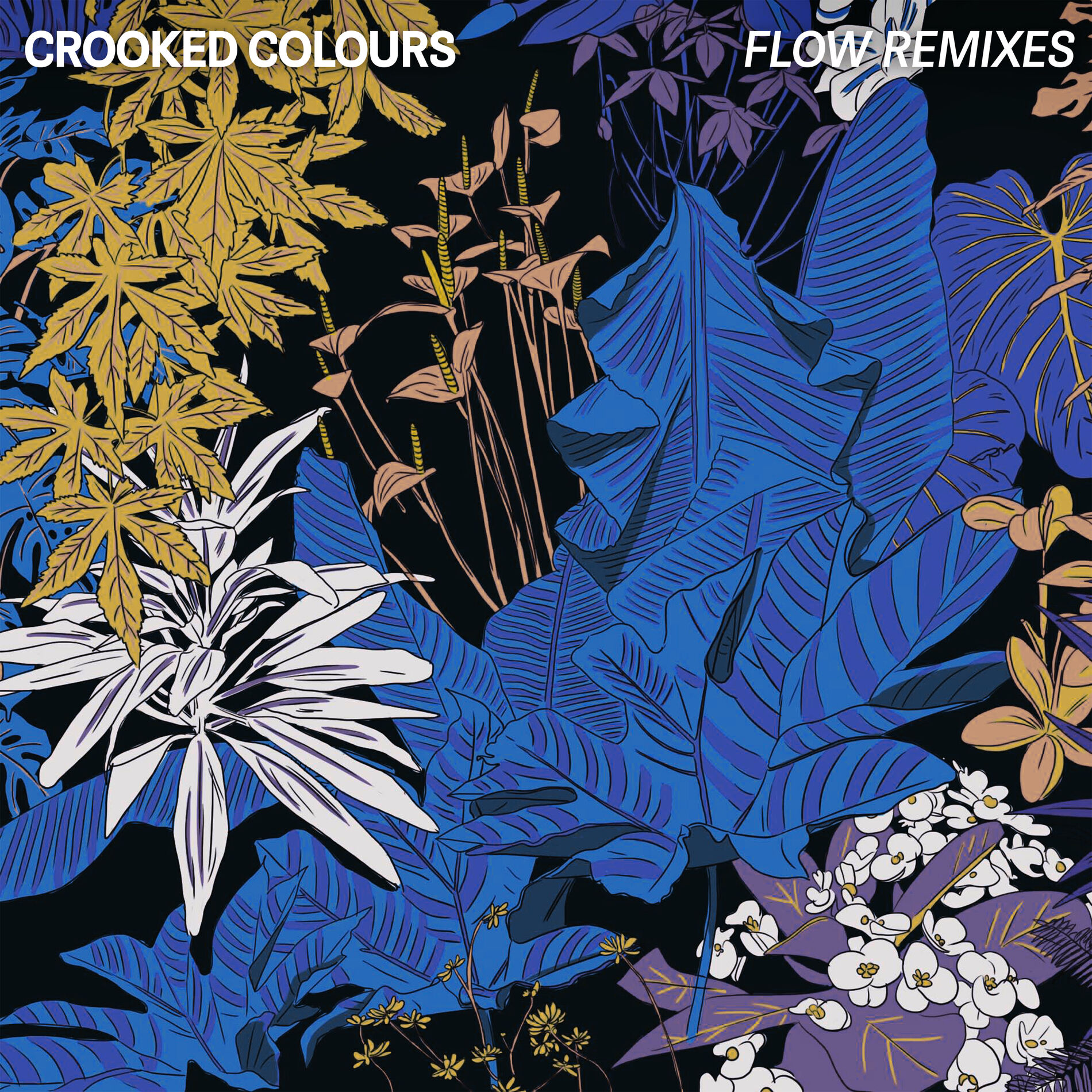Album cover of Flow