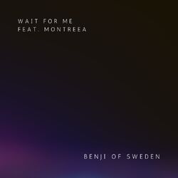 Cover of Wait for Me