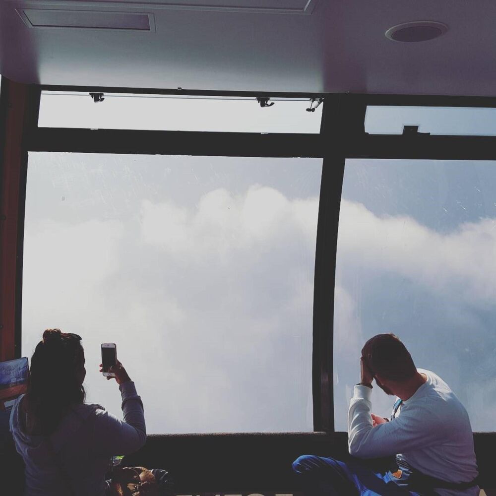 Picture of Dream Travelers