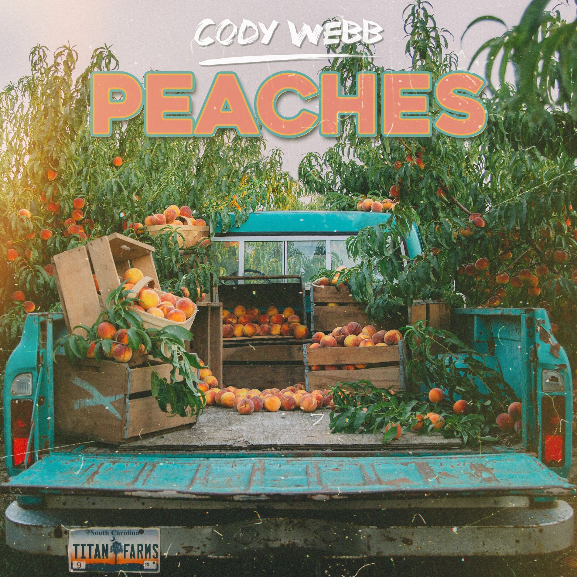 Album cover of Peaches