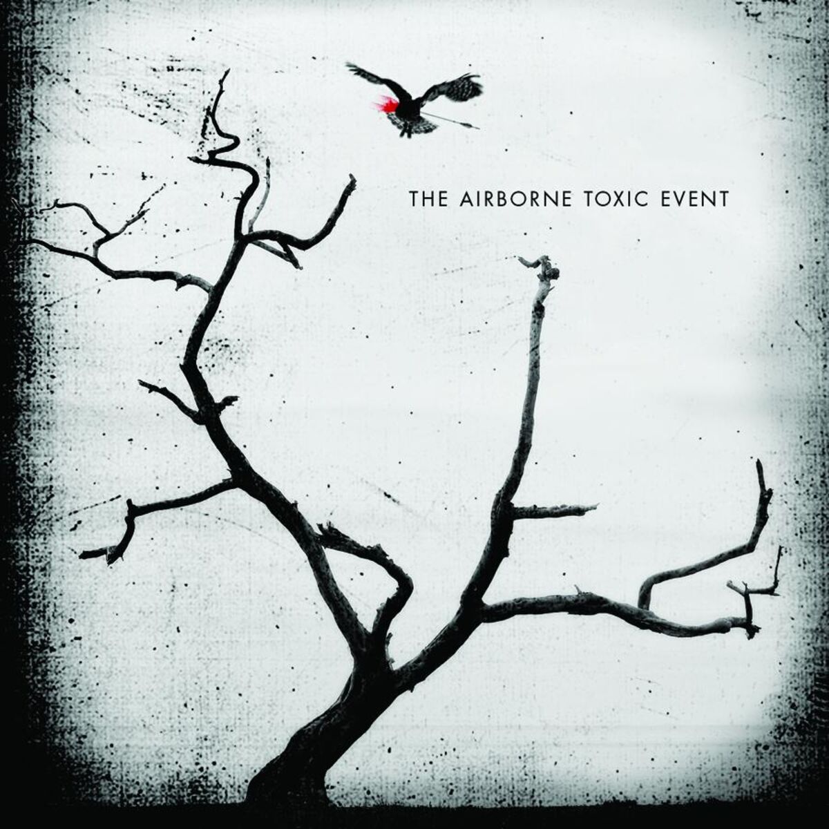 Album picture of The Airborne Toxic Event (UK Version)