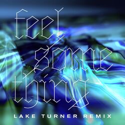 Cover of Feel Something (Lake Turner Remix)