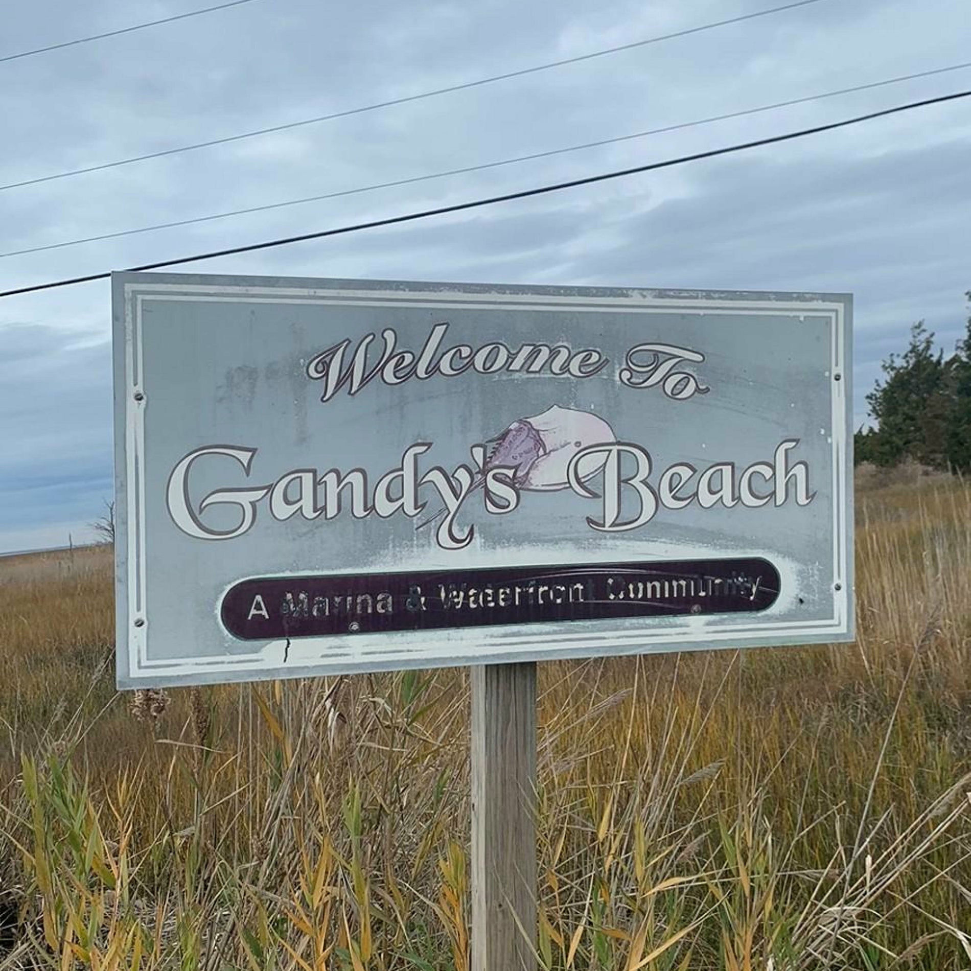 Album cover of Gandy's Beach