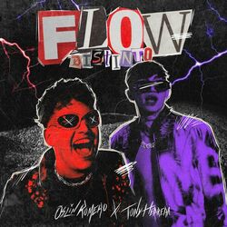 Cover of Flow Distinto