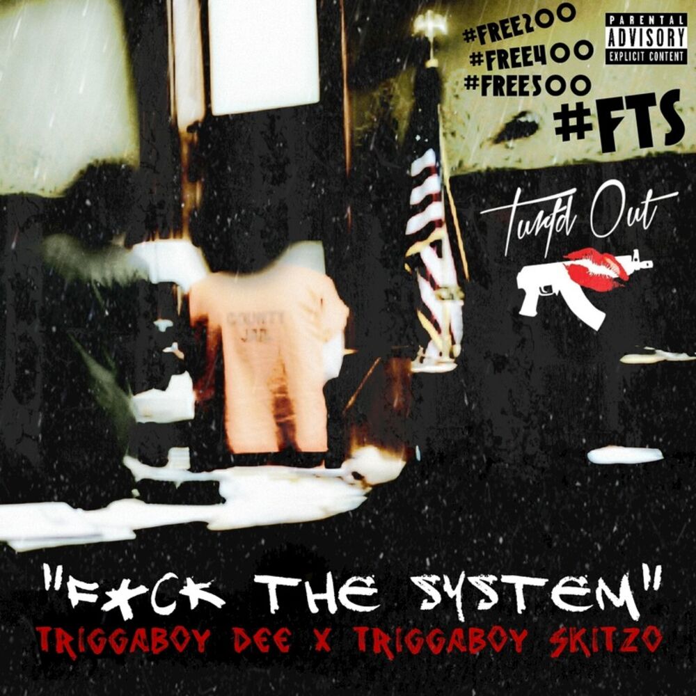 Picture of Fuck the System