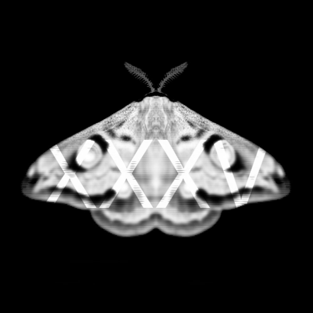 Picture of Emetic XXXV