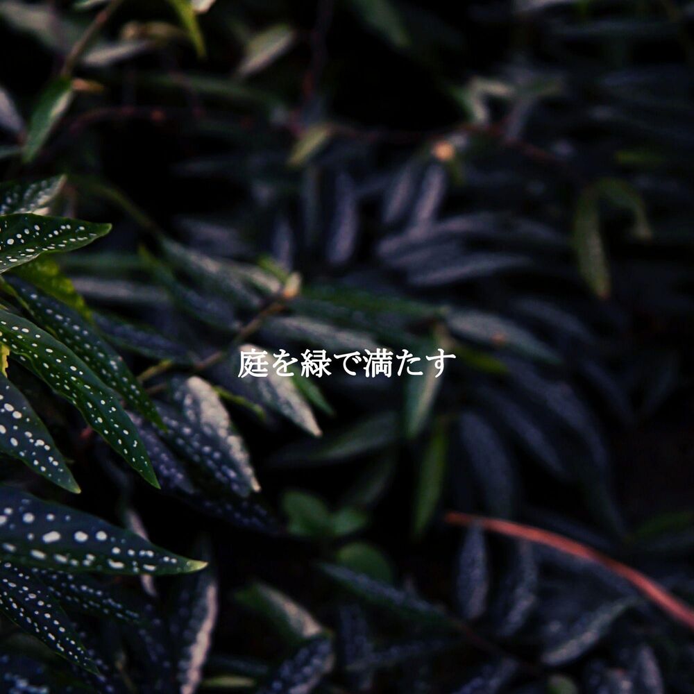 Picture of 庭を緑で満たす