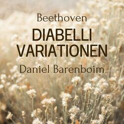 Cover of Beethoven: Diabelli Variationen