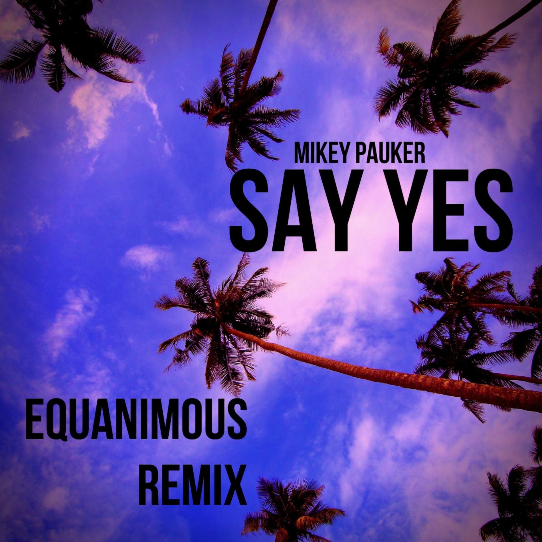 Album cover of Say Yes