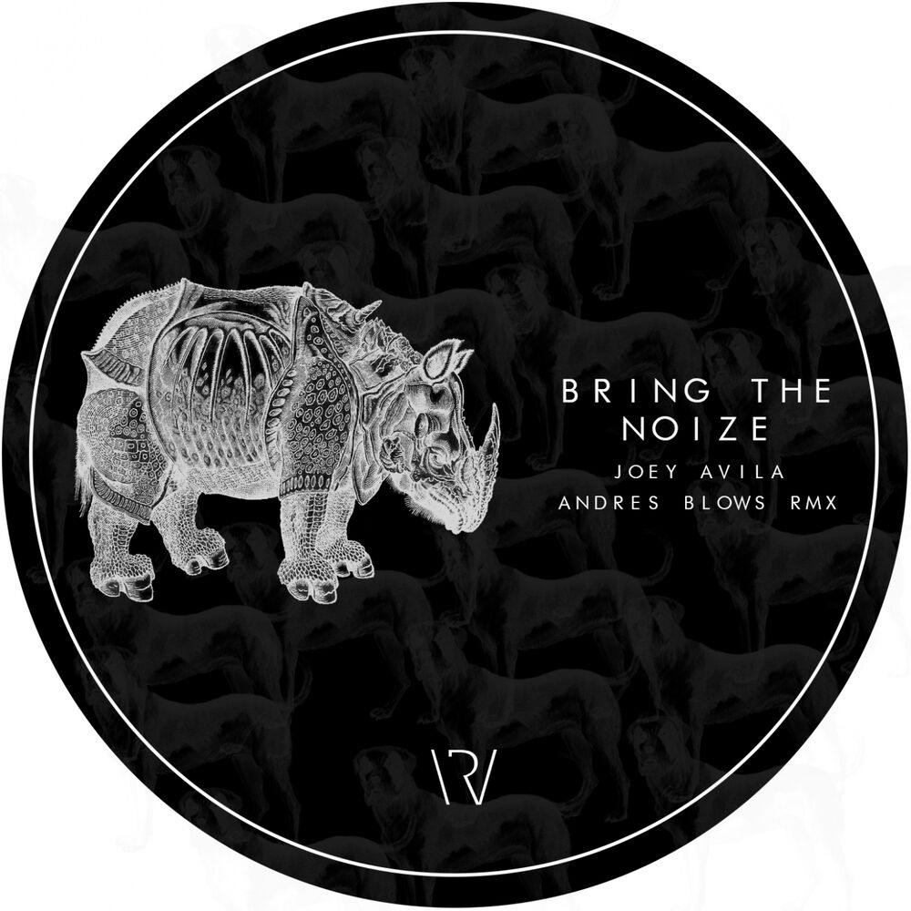 Picture of Bring The Noize