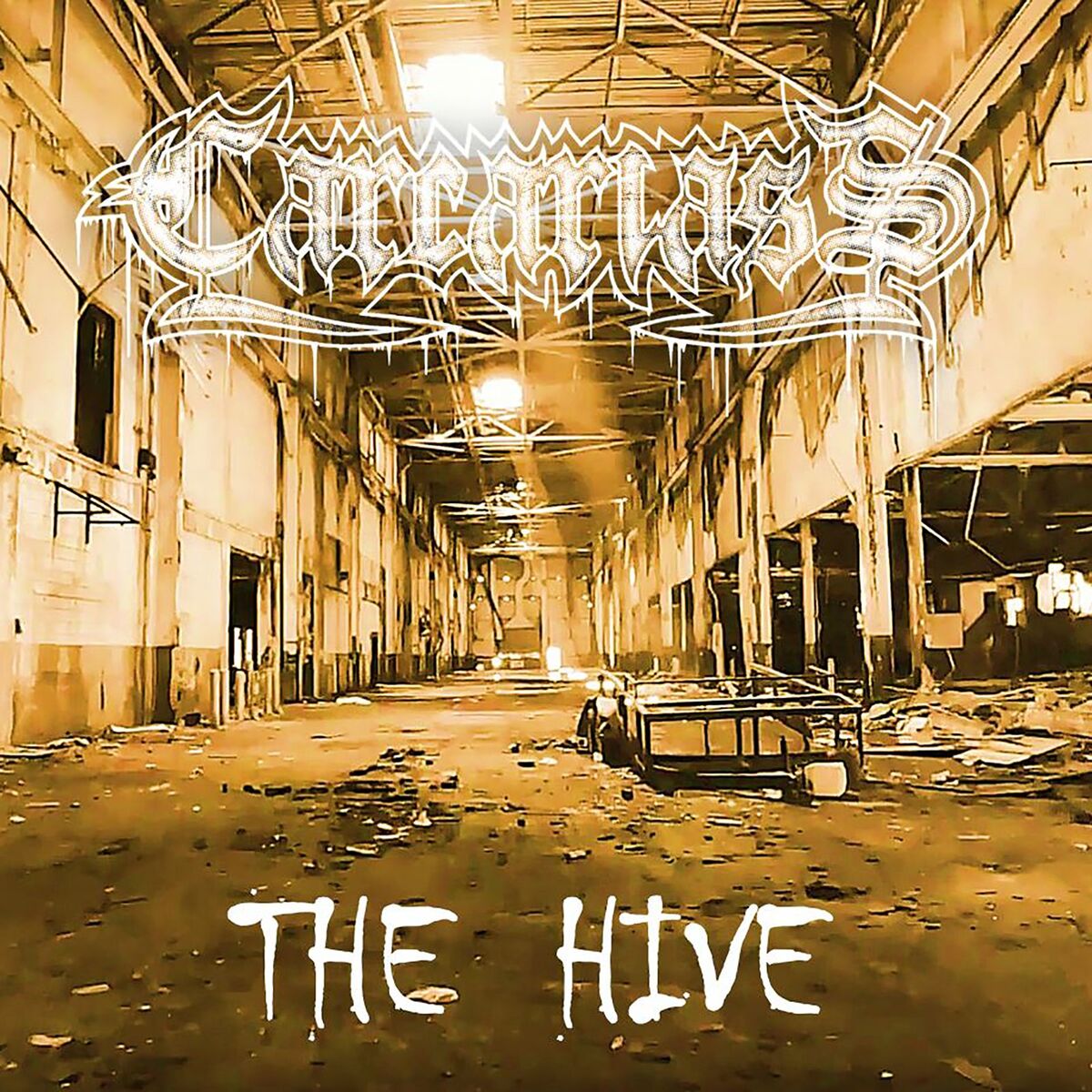Album cover of The Hive