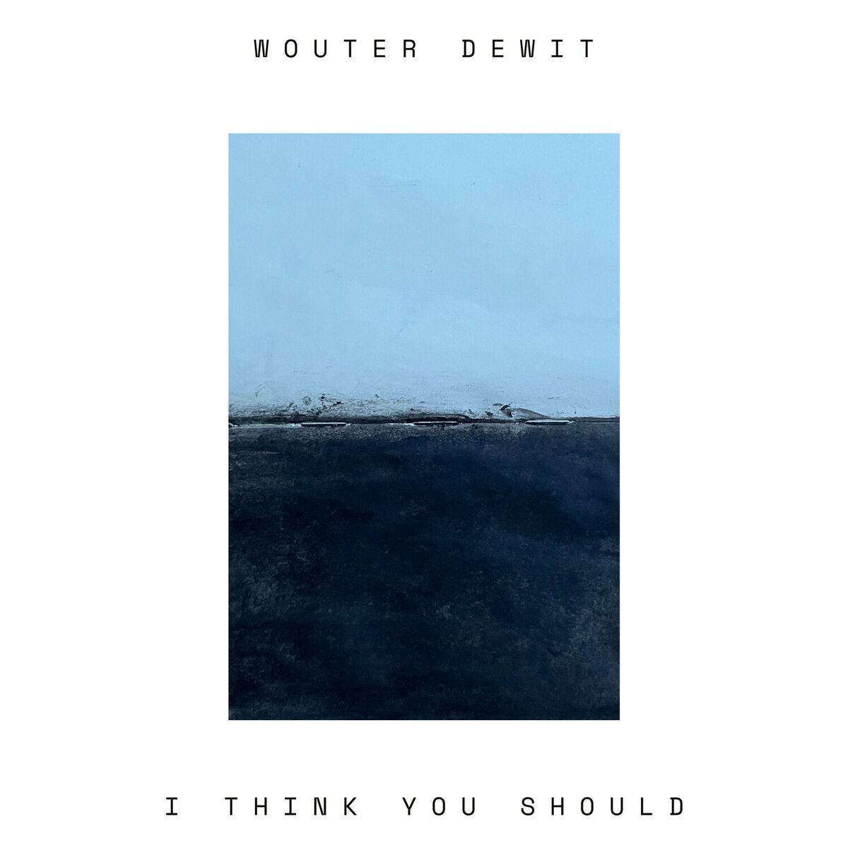 Album cover of I Think You Should
